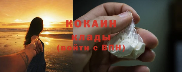гидра Наволоки