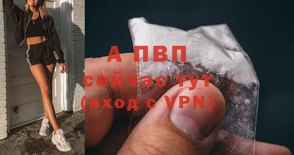 PSILOCYBIN Усмань