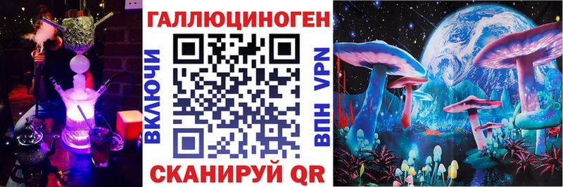закладки shop телеграм Галлюциногенные грибы прущие грибы Полевской