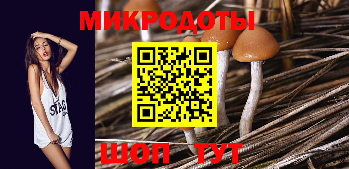 Псилоцибиновые грибы прущие грибы Полевской