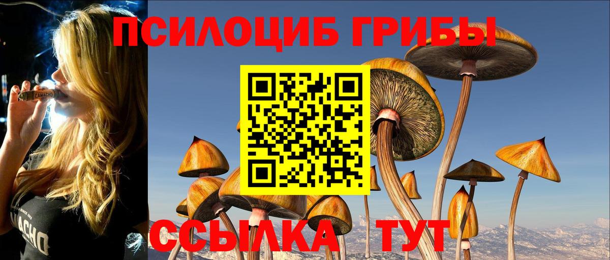 как найти закладки  Полевской  Галлюциногенные грибы Psilocybine cubensis 